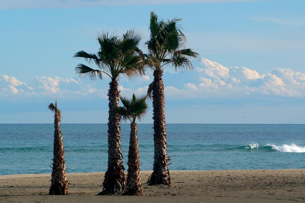 Hotel La Fregate Canet-en-Roussillon Ngoại thất bức ảnh